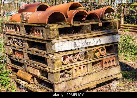 Ein Insektenhotel namens Bugingham Palets im Askham Bryan Wildlife & Conservation Park in der Nähe von York, England Stockfoto