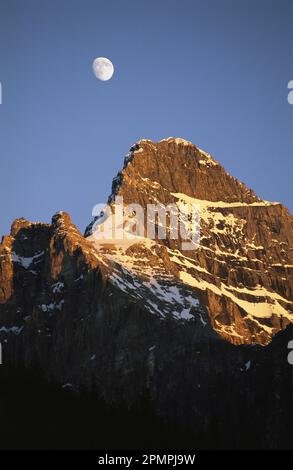 Der Mond über dem Mount Yukness im Yoho National Park, BC, Kanada; British Columbia, Kanada Stockfoto