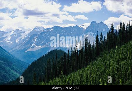 Malerischer Blick auf die Rocky Mountains im Yoho National Park, BC, Kanada; British Columbia, Kanada Stockfoto