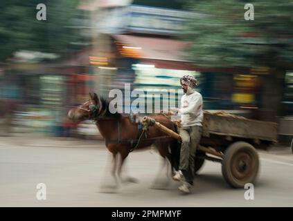 Man fährt auf einem Pferdewagen vor dem Taj Mahal, Agra, Indien Stockfoto