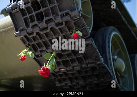 08.05.2022, Berlin, Deutschland, Europa - Rote Rose werden in die Kettenbahn eines T-34-Panzers am Sowjetischen Kriegsdenkmal entlang der 17. Juni Straße platziert. Stockfoto