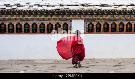 Junger Mönch, der durch ein Kloster spaziert; Paro Valley, Bhutan Stockfoto