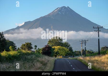 Die Straße zum Berg Taranaki im Abendlicht, in der Nähe von Kaponga, Nordinsel, Neuseeland Stockfoto