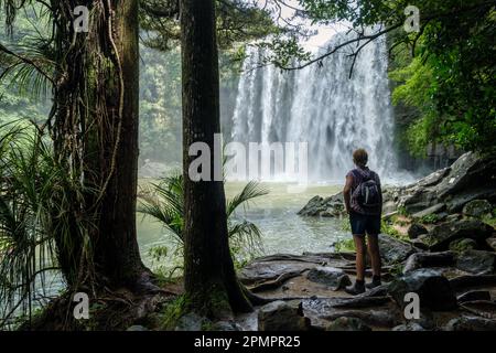 Whangarei Falls auf dem Hatea River, Northland, North Island, Neuseeland Stockfoto