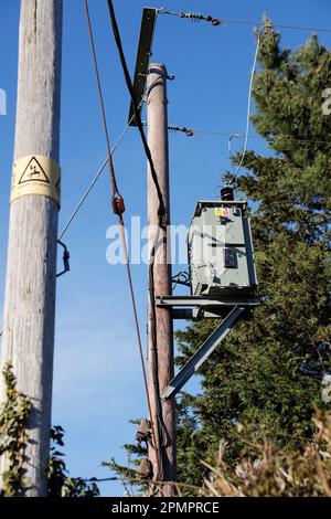 Strommasten ländlicher Versorgungsunternehmen in der Nähe von Bäumen im ländlichen Suffolk, England, Großbritannien Stockfoto