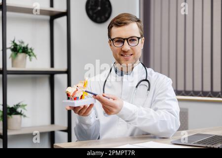 Ein junger attraktiver Hals-Nasen-Ohren-Arzt sitzt an seinem Arbeitsplatz in der Praxis und hält ein Modell der Ohrstruktur in seinen Händen. Die Stockfoto