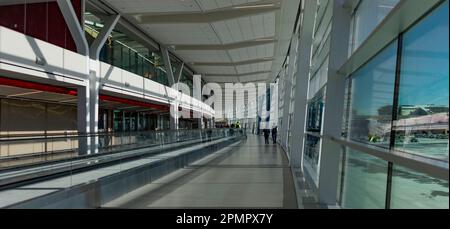 Korridor in einem internationalen Flughafen mit Leuten, die an den großen Fenstern und auf dem Laufsteg laufen; Calgary, Alberta, Kanada Stockfoto