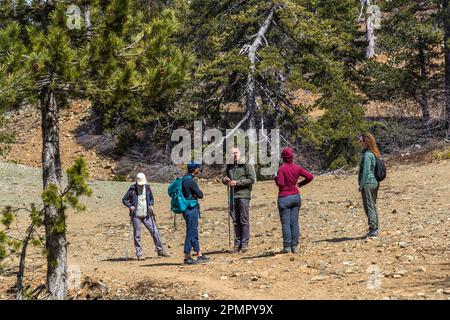 Wandern in den Troodos-Bergen, Zypern. Der Wanderführer Franz Bauernhofer erläutert seiner Wandergruppe die Besonderheiten der Troodos-Berge Stockfoto