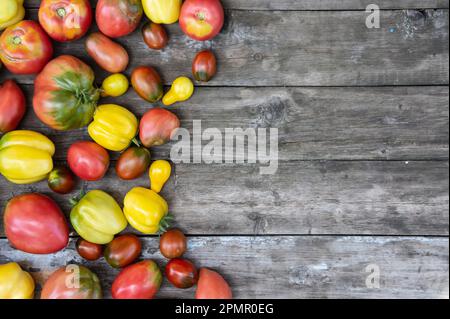 Ein Set verschiedener Tomatensorten auf einem Holztisch mit Platz für Text. Draufsicht Stockfoto