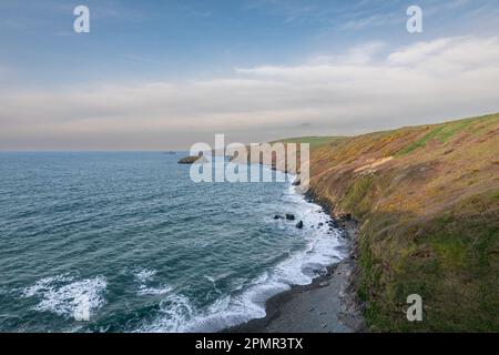 Port Ysgo, Llyn Peninsula, Wales Stockfoto