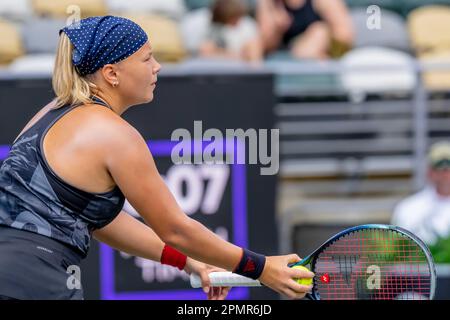 6. April 2023, Charleston, SC, Vereinigte Staaten von Amerika: DIANA SHNAIDER USA spielt gegen (12) PAULA BADOSA ESP auf der WTA Series für die Credit One Charleston Open in Charleston, SC, USA. (Kreditbild: © Walter G. Arce Sr./ZUMA Press Wire) NUR REDAKTIONELLE VERWENDUNG! Nicht für den kommerziellen GEBRAUCH! Stockfoto