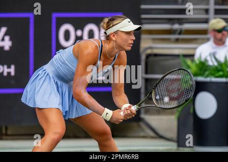 6. April 2023, Charleston, SC, Vereinigte Staaten von Amerika: (12) PAULA BADOSA ESP spielt gegen DIANA SHNAIDER USA bei der WTA Series für die Credit One Charleston Open in Charleston, SC, USA. (Kreditbild: © Walter G. Arce Sr./ZUMA Press Wire) NUR REDAKTIONELLE VERWENDUNG! Nicht für den kommerziellen GEBRAUCH! Stockfoto