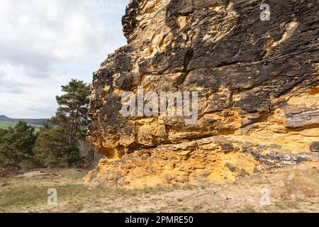 Camel Rock in der Nähe von Westerhausen im Harz Stockfoto