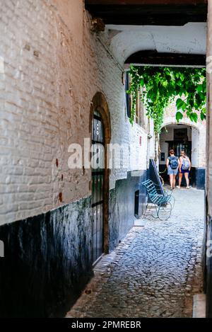 Vlaeykensgang, eine kleine mittelalterliche Gasse im Stadtzentrum. Antwerpen, Flämische Region, Belgien, Europa Stockfoto