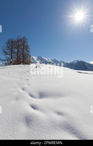 Winterlandschaft, Karwendel, Seefeld, Tirol, Österreich Stockfoto