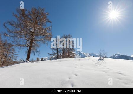 Winterlandschaft, Karwendel, Seefeld, Tirol, Österreich Stockfoto