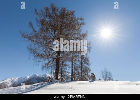 Winterlandschaft, Karwendel, Seefeld, Tirol, Österreich Stockfoto