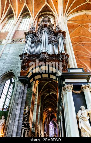 Die große Orgel, die 1935 von Klais erbaut wurde, ist die größte der Benelux-Staaten. St. Bavos Kathedrale, innen. Gent, Ostflandern, Flämische Region, Belgien, Eu Stockfoto