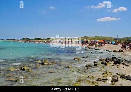 Strand, Naturpark, Torre Guaceto, San Vito dei Normanni, Provinz Brindisi, Apulien, Italien Stockfoto