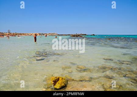 Strand, Naturpark, Torre Guaceto, San Vito dei Normanni, Provinz Brindisi, Apulien, Italien Stockfoto