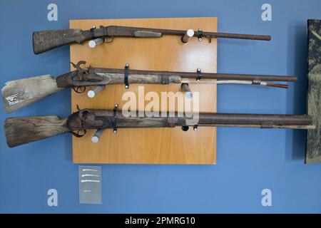 Alte Gewehre im Palacio de Acebron, Coto de Donana, Spanien Stockfoto