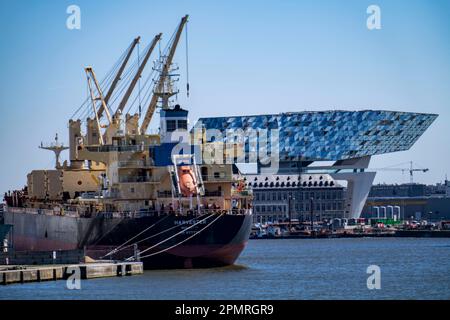 Der Hafen von Antwerpen an der Schelde gilt als zweitgrößter Seehafen in Europa, der Frachter am Massenterminal Antwerpen, Havenhuis i. Stockfoto