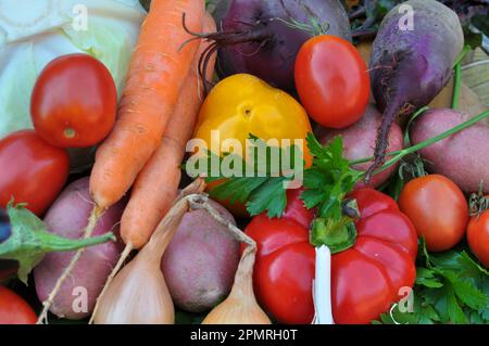 Gemüseset zum Kochen von rotem Borschtsch Stockfoto