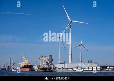 Der Antwerpener Hafen an der Schelde gilt als zweitgrößter Seehafen in Europa, Windkraftanlagen im Hafengebiet, Flandern, Belgien Stockfoto