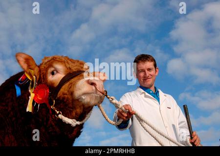 Limousin Rinder, Champion Bulle mit Cattleman, Show Rosetten, England, Großbritannien Stockfoto