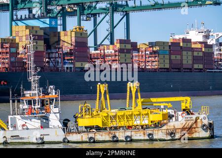 Der Hafen von Antwerpen an der Schelde gilt als zweitgrößter Seehafen in Europa, Containerhafen DP World Antwerpen Gateway Quay, Flandern, Schweiz Stockfoto