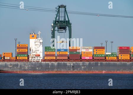 Der Antwerpener Hafen an der Schelde gilt als zweitgrößter Seehafen in Europa, Containerterminal lPSA Europa Terminal, Flandern, Belgien Stockfoto