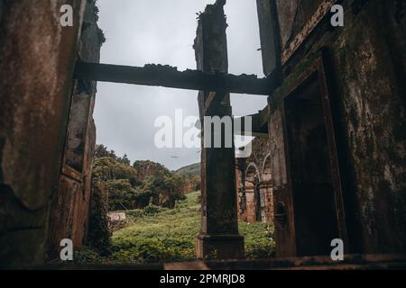 Verlassene Kirche (Igreja de São Mateus) in Faial, den Azoren Stockfoto