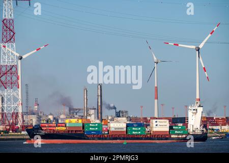 Der Antwerpener Hafen an der Schelde gilt als zweitgrößter Seehafen in Europa, Containerterminal lPSA Europa Terminal, Flandern, Belgien Stockfoto