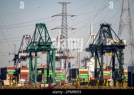 Der Hafen von Antwerpen an der Schelde gilt als zweitgrößter Seehafen in Europa, Containerhafen DP World Antwerpen Gateway Quay, Flandern, Schweiz Stockfoto