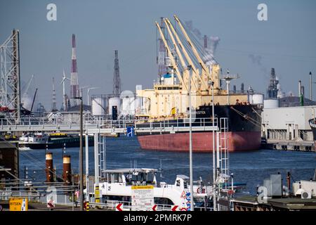 Der Hafen von Antwerpen an der Schelde gilt als zweitgrößter Seehafen in Europa, der Frachter-Erntemaschine am Massenterminal Antwerpen, Flandern Stockfoto