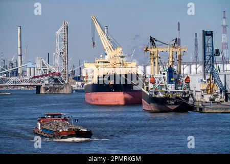 Der Hafen von Antwerpen an der Schelde gilt als zweitgrößter Seehafen in Europa, der Frachter-Erntemaschine am Massenterminal Antwerpen, Flandern Stockfoto