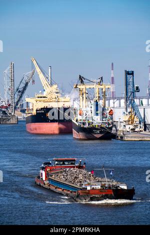 Der Hafen von Antwerpen an der Schelde gilt als zweitgrößter Seehafen in Europa, der Frachter-Erntemaschine am Massenterminal Antwerpen, Flandern Stockfoto