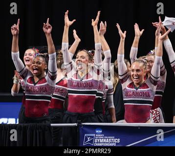 Fort Worth, Texas, USA. 13. April 2023. Das Oklahoma-Frauenturnier feiert das Halbfinale II der NCAA National Collegiate Women's Gymnastics Championships 2023 in der Dickies Arena in Fort Worth, TX. Kyle Okita/CSM/Alamy Live News Stockfoto
