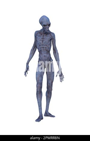 Blaugrauer, gehäuteter Außerirdischer steht und schaut nach links. 3D-Rendering isoliert auf weißem Hintergrund. Stockfoto