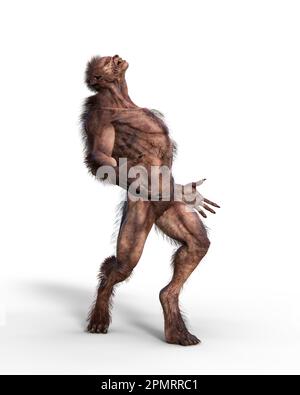 Werwolf, der aufblickt, als würde er den Mond anheulen. 3D-Abbildung isoliert auf weißem Hintergrund. Stockfoto