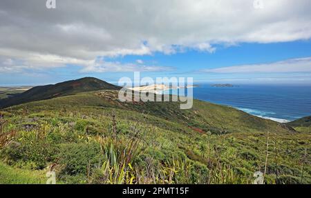 Blick vom Cape Reinga - Neuseeland Stockfoto