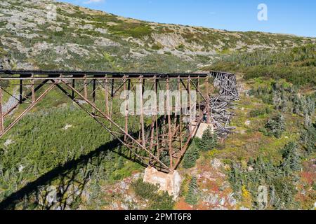 Alte verlassene und eingestürzte Eisenbahnbrücke entlang des White Pass in Alaska bei Skagway Stockfoto