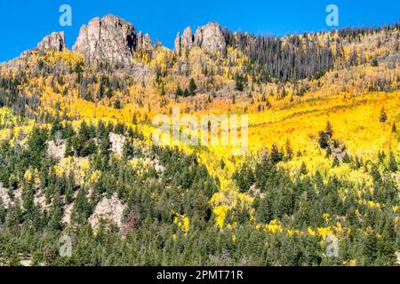 Gelbe Aspen Bäume auf der Bergseite in den San Juan Mountains in Colorado Stockfoto