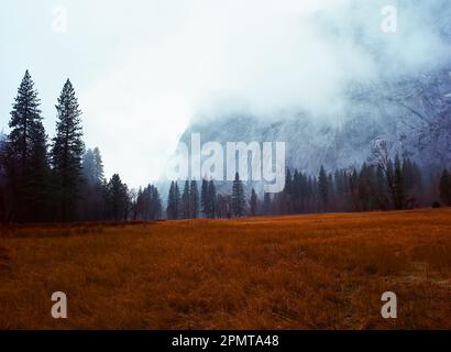 Nebel zieht im Herbst in den Yosemite Valley National Park California Stockfoto