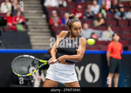 Vancouver, Kanada. 14. April 2023. Leylah Fernandez aus Kanada im Kampf gegen Yanina Wickmayer aus Belgien während des Billie Jean King Cup im Pacific Coliseum. Kredit: Joe Ng/Alamy Live News Stockfoto