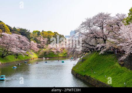 Tokio Japan 2023. April, Menschen, die die Hanami-Kirschblüte von Booten im Chidorigafuchi Park in Tokio, Japan, beobachten Stockfoto