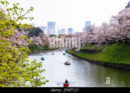 Tokio Japan 2023. April, Menschen, die die Hanami-Kirschblüte von Booten im Chidorigafuchi Park in Tokio, Japan, beobachten Stockfoto