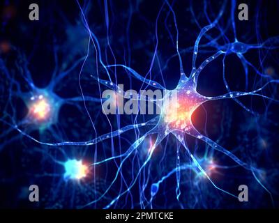 Protoplasmatische Astrozyten, Illustration Stockfoto