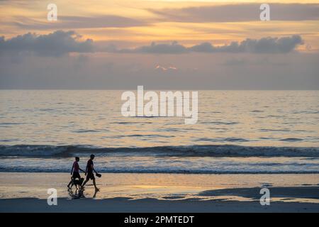 Ein Paar macht einen Spaziergang bei Sonnenaufgang mit seinem Hund entlang der Küste am Jacksonville Beach, Florida. (USA) Stockfoto
