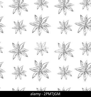 Nahtloses Muster der Konturzeichnung eines Anissterns. Würzige Gewürze für Kaffee oder Glühwein. Isolieren. Design für Verpackung, Tapete, Preisschild oder Etikett, Banner, Broschüren, Poster oder Web. Vektor. EPS Stock Vektor